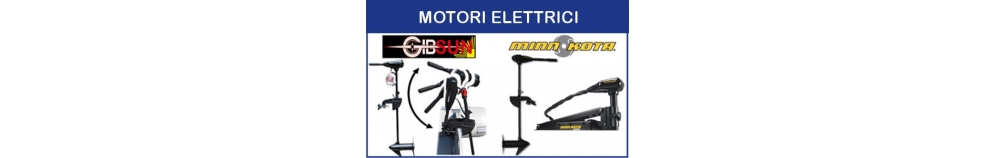 Motori Elettrici