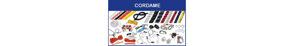 Cordame