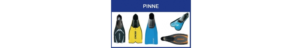 Pinne